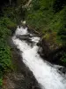 Paisajes de Alto Garona - Torrent en el Pirineo