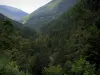 Paisajes de Alto Garona - Forestal (árboles) y en los Pirineos