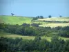 Paisajes de Alto Garona - Los campos y los árboles, en Lauragais