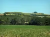 Paisajes de Alto Garona - De campo y los árboles