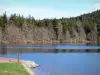 Paisajes de Alto Loira - Lac du Bouchet en un entorno arbolado