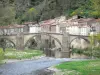 Paisajes de Alto Loira - Gargantas de Allier: casas en el pueblo de Lavoûte-Chilhac a lo largo del agua y el puente sobre el río Allier