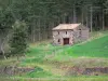 Paisajes de Alto Loira - Cabaña de piedra al borde del bosque