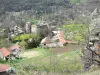 Paisajes de Alto Loira - Vista del castillo medieval y las casas del pueblo de Saint-Vidal en un entorno arbolado