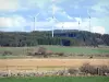 Paisajes de Alto Loira - Turbinas de viento que dominan bosques y pastos
