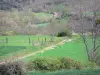 Paisajes de Alto Loira - Camino bordeado de prados