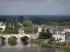 Paisajes de Anjou - Valle del Loira: Loira puente sobre el río, las casas y edificios en la isla de Offard, en Saumur, los árboles y el bosque en el Parque Natural Regional Loire-Anjou-Touraine