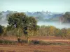 Paisajes de Anjou - Campo, los árboles y los bosques en la niebla