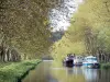 Paisajes de Aude - Canal du Midi: ruta bordeada de plátanos, con los barcos amarrados