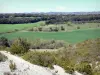 Paisajes de Aude - Verdor Cabardès