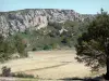 Paisajes de Aude - La Clape, en el Parque Natural Regional de Narbona en la vegetación mediterránea y escarpe rocoso