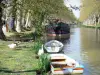 Paisajes de Aude - Canal du Midi: patos y gansos en la línea de costa y los barcos amarrados