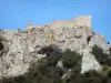 Paisajes de Aude - Castillo Corbieres posado en su promontorio rocoso