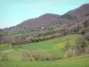 Paisajes de Aude - Carretera, prados, árboles y bosques