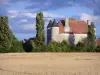 Paisajes de Berry - Pouzieux Castillo (la localidad de Chatillon-sur-Indre), los árboles y el campo; nubes en el cielo