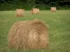 Paisajes de Borgoña - Pacas de heno en un prado