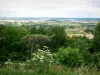 Paisajes de Borgoña - Vista de los Nivernais desde la cima de la colina Montenoison