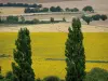 Paisajes de Borgoña - Los árboles en primer plano con vistas a una serie de campos