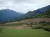 Paisajes de la Córcega interior - Pastizales en pendiente, los árboles y las montañas cubiertas de nieve en el fondo