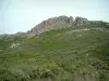 Paisajes de la Córcega interior - Flores silvestres de montaña, matorrales y crestas cortadas (sitio de escalada cerca de Calvi)