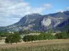 Paisajes de Drôme - Parque Natural Regional de Vercors: campo salpicado de árboles, al pie de las montañas