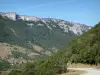 Paisajes de Drôme - Parque natural regional de Vercors: paredes de roca que dominan la carretera