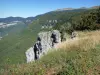 Paisajes de Drôme - Parque Natural Regional de Vercors: vista de las montañas verdes