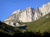 Paisajes de Drôme - Paredes de roca y vegetación.