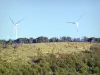 Paisajes de Drôme - Turbinas de viento en un campo entre los árboles