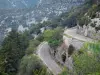 Paisajes de Gard - Arbolada carretera que conduce al corazón de Navacelles