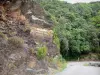 Paisajes de Gard - Carretera llena de rocas y árboles