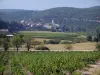 Paisajes de Gard - Côtes du Rhône viñedos, árboles, pueblos y montañas