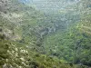 Paisajes de Gard - Montañas salpicadas de vegetación