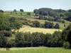 Paisajes de la Gironda - Árboles alterna y campos