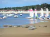 Paisajes de la Gironda - Bassin d' Arcachon - Andernos -les- Bains : los optimistas y los catamaranes que navegan club, chozas mar y del puerto de la ostra en el fondo