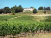 Paisajes de la Gironda - Burdeos vino : viñedos de Saint- Emilion