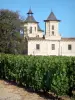Paisajes de la Gironda - Vino de Burdeos : Château Cos d' Estournel y viñedos, viñedo en Saint- Estèphe en Médoc
