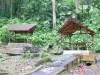 Paisajes de Guadalupe - Parque Nacional de Guadalupe : carbets picnic en el corazón de la selva de la isla de Basse - Terre