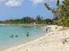 Paisajes de Guadalupe - Playa del soplador en la isla de Grande - Terre, en el municipio de Port- Louis : clases de natación en el mar turquesa, cementerio marino en el fondo