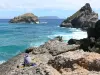 Paisajes de Guadalupe - Vista de la isla de Désirade fondo desde la punta de los Castillos