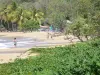 Paisajes de Guadalupe - Pearl Beach en la isla de Basse - Terre, en la ciudad de Deshaies playa de arena en una zona verde