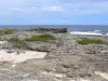 Paisajes de Guadalupe - Costa rocosa de la isla de Grande - Terre