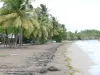 Paisajes de Guadalupe - Playa de St. Clair en la isla de Basse - Terre, en la localidad de Guayaba : playa de arena gris llena de árboles de coco