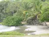 Paisajes de Guadalupe - Roseau Beach en la isla de Basse - Terre, en la localidad de Capesterre - Belle - Eau : playa de arena bordeada de árboles y cocos