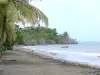 Paisajes de Guadalupe - Playa de St. Clair en la isla de Basse - Terre, en la localidad de Guayaba : playa de arena gris llena de cocoteros y vistas al mar