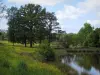 Paisajes de Lemosín - Pond, flores silvestres, árboles y nubes en el cielo, bajo consumo