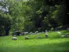 Paisajes de Lemosín - Las ovejas en un prado y árboles, en el Bajo Paseo