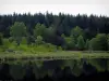 Paisajes de Lemosín - Los árboles se refleja en las aguas de un estanque