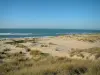 Paisajes del litoral de Charente Maritimo - Arvert península: la hierba de playa, arena, playa debajo de la Costa Salvaje y el mar (Océano Atlántico), con olas pequeñas