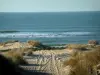 Paisajes del litoral de Charente Maritimo - Arvert península: camino de arena, bordeada de vegetación de playa, lo que lleva a la playa de la Costa Salvaje, mar (Océano Atlántico)
